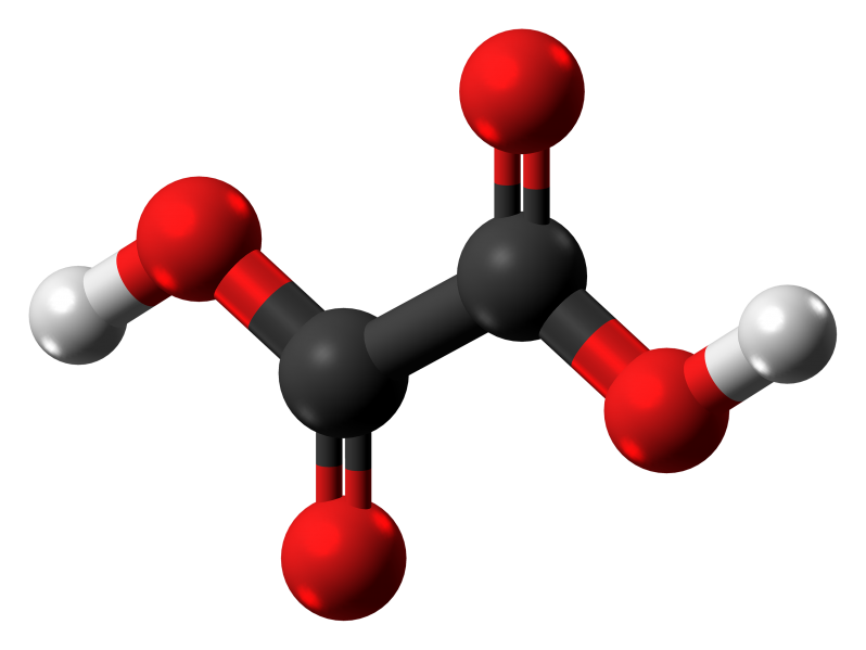 File:Oxalic acid molecule ball from xtal.png