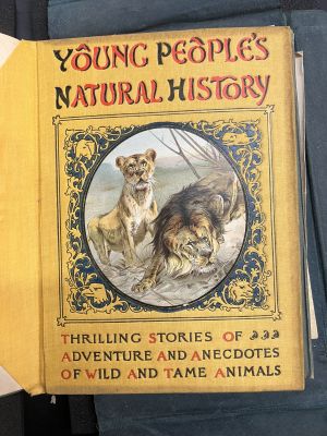 Colored lithograph centerpiece on the cover of Young People's Natural History