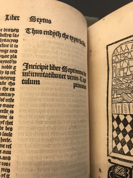 File:Bartholomeus de proprietatibus rerum explicit for whole book.JPG