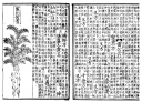 The Pen ts'ao (1249 C.E.), a Chinese herbal medicine text printed with woodblock