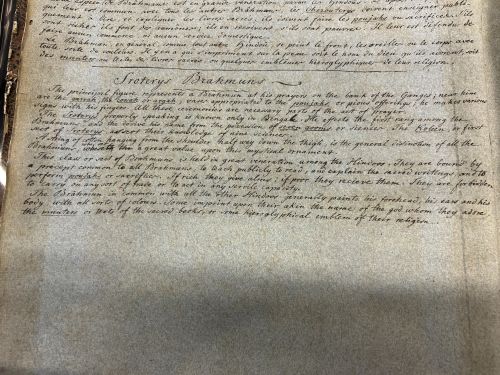 Text describing "Sroterys Brahmans" with words crossed out and underlined.