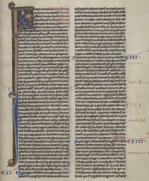 File:Page 28r of Ms. Codex 236.png