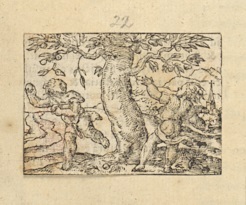 http://digitalbookhistory.com/fragments/harl_5927_frag022.jpg