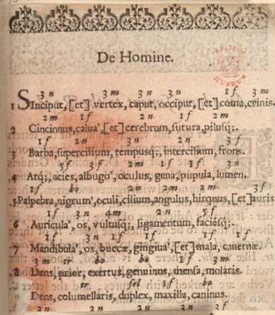 http://digitalbookhistory.com/fragments/harl_5927_frag390.jpg